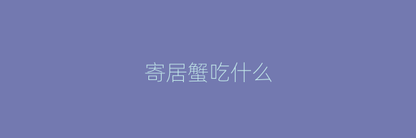 寄居蟹吃什么